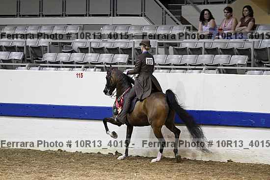 Proof Number 10r13_4015