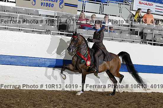 Proof Number 10r13_4019