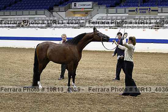 Proof Number 10r13_4036