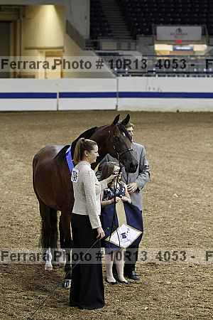 Proof Number 10r13_4053