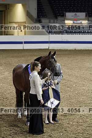 Proof Number 10r13_4054