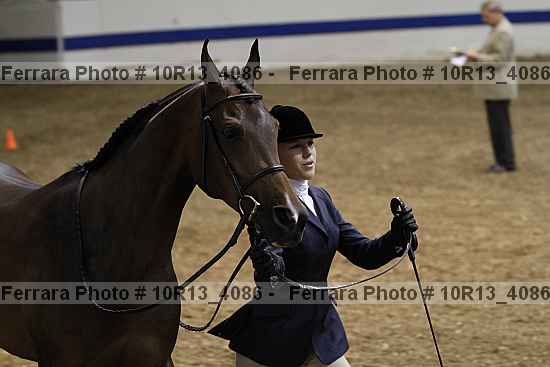 Proof Number 10r13_4086