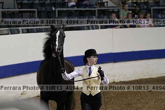 Proof Number 10r13_4094