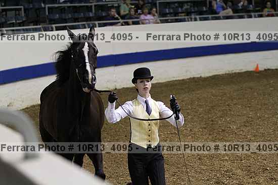 Proof Number 10r13_4095