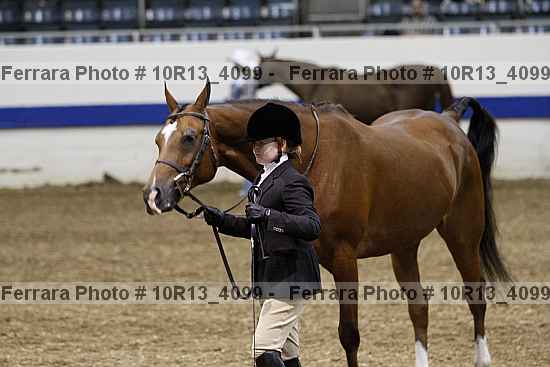 Proof Number 10r13_4099