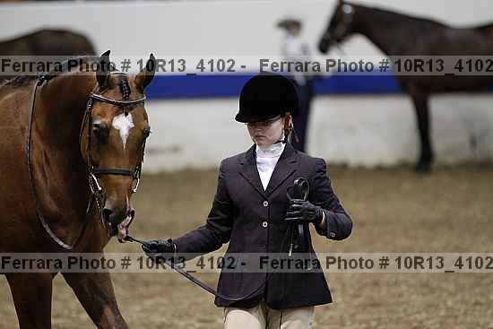 Proof Number 10r13_4102