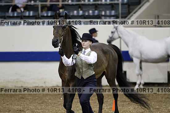 Proof Number 10r13_4108