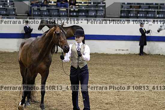 Proof Number 10r13_4113