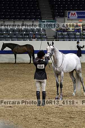 Proof Number 10r13_4118