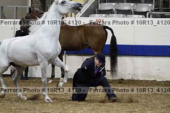 Proof Number 10r13_4120