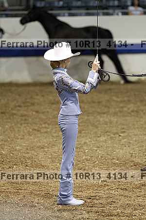 Proof Number 10r13_4134