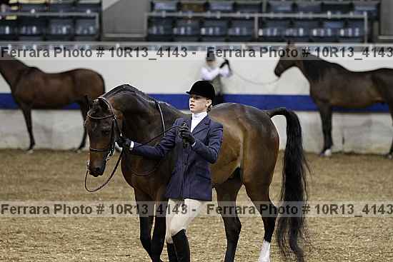Proof Number 10r13_4143