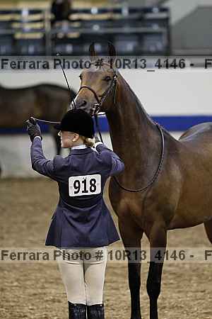 Proof Number 10r13_4146