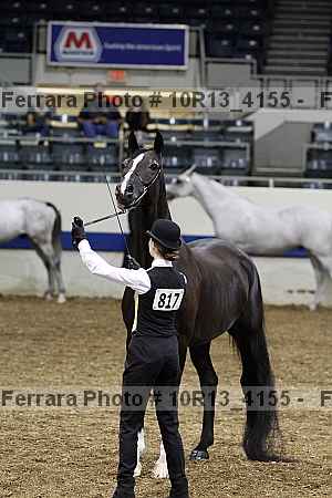 Proof Number 10r13_4155
