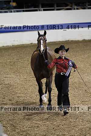 Proof Number 10r13_4181