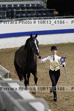 Proof Number 10r13_4184