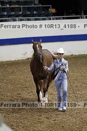 Proof Number 10r13_4188