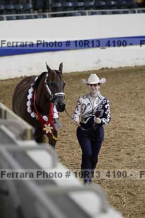 Proof Number 10r13_4190