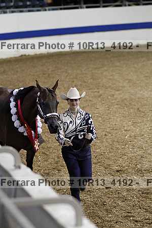 Proof Number 10r13_4192