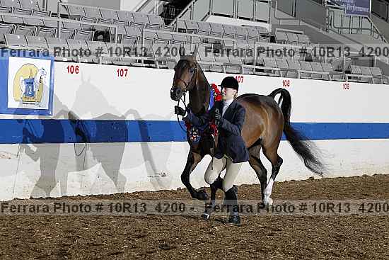Proof Number 10r13_4200