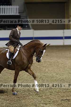 Proof Number 10r13_4215