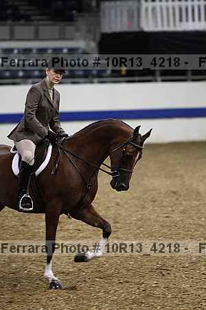 Proof Number 10r13_4218