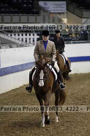 Proof Number 10r13_4222