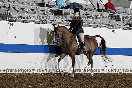 Proof Number 10r13_4226