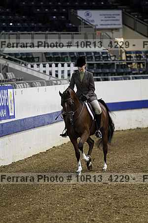 Proof Number 10r13_4229