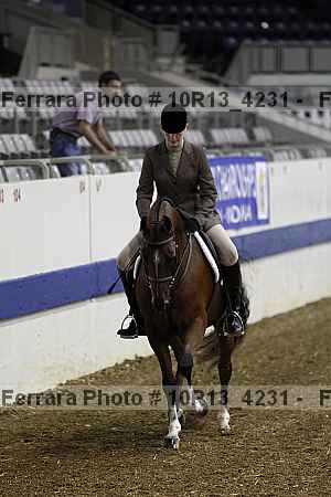 Proof Number 10r13_4231