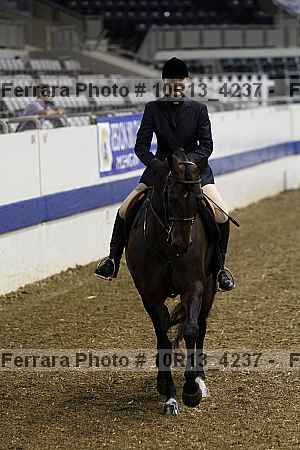 Proof Number 10r13_4237