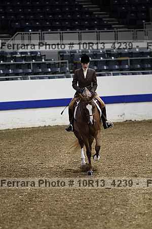 Proof Number 10r13_4239
