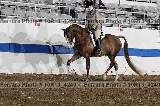 Proof Number 10r13_4240