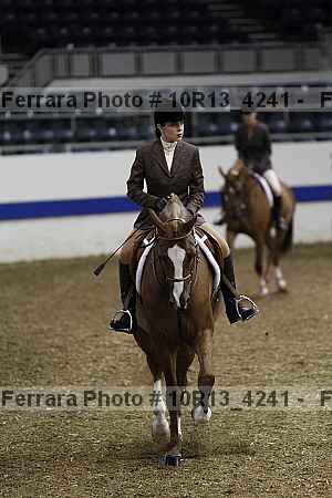 Proof Number 10r13_4241