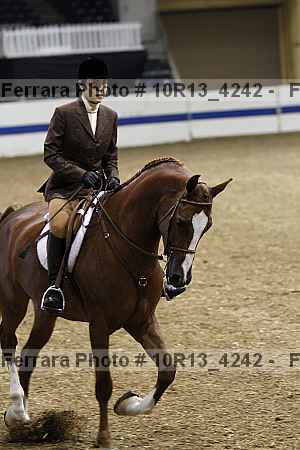 Proof Number 10r13_4242