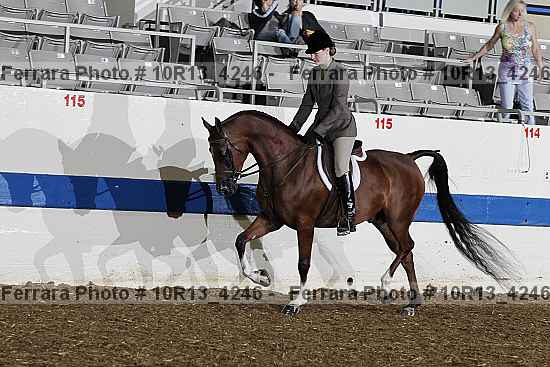 Proof Number 10r13_4246