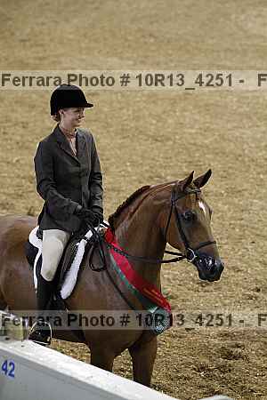 Proof Number 10r13_4251