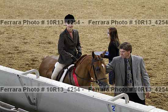 Proof Number 10r13_4254