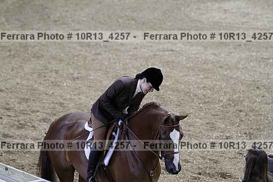 Proof Number 10r13_4257