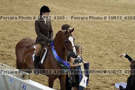 Proof Number 10r13_4260