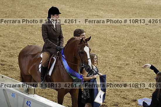 Proof Number 10r13_4261