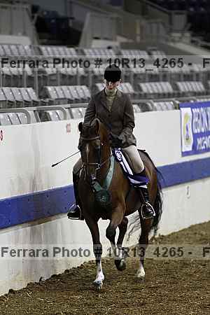 Proof Number 10r13_4265