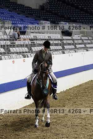 Proof Number 10r13_4268