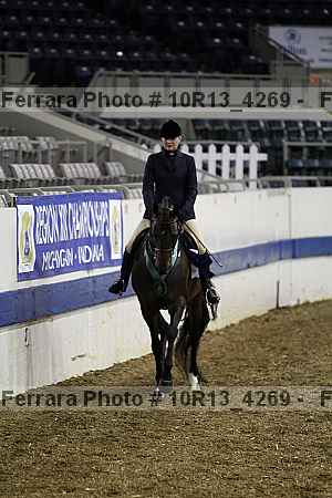 Proof Number 10r13_4269
