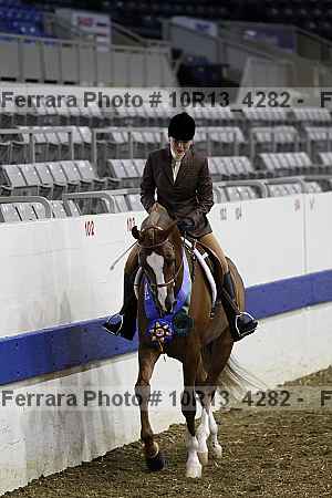 Proof Number 10r13_4282