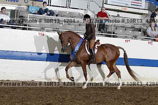 Proof Number 10r13_4294