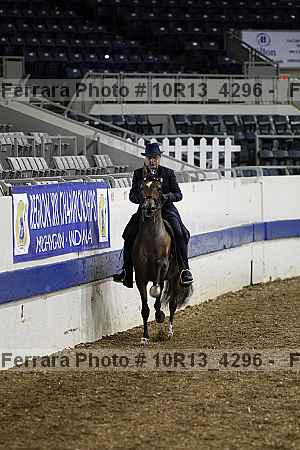 Proof Number 10r13_4296