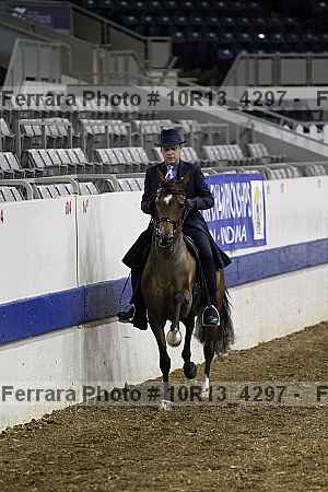 Proof Number 10r13_4297