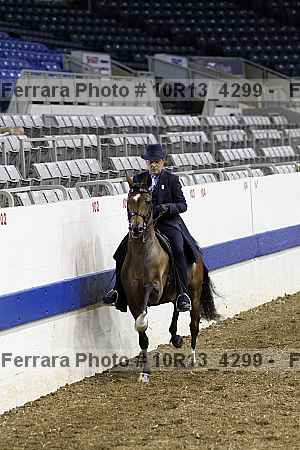 Proof Number 10r13_4299