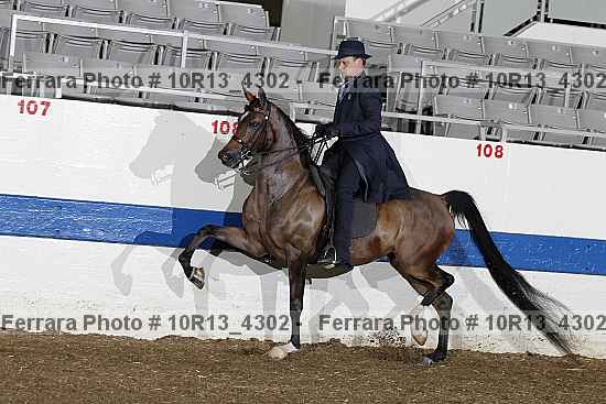 Proof Number 10r13_4302